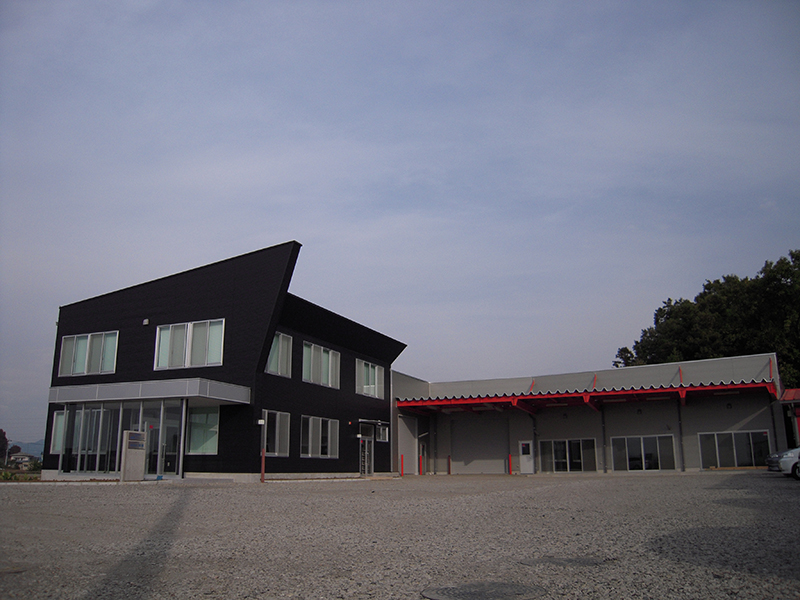 朝倉ジャージー