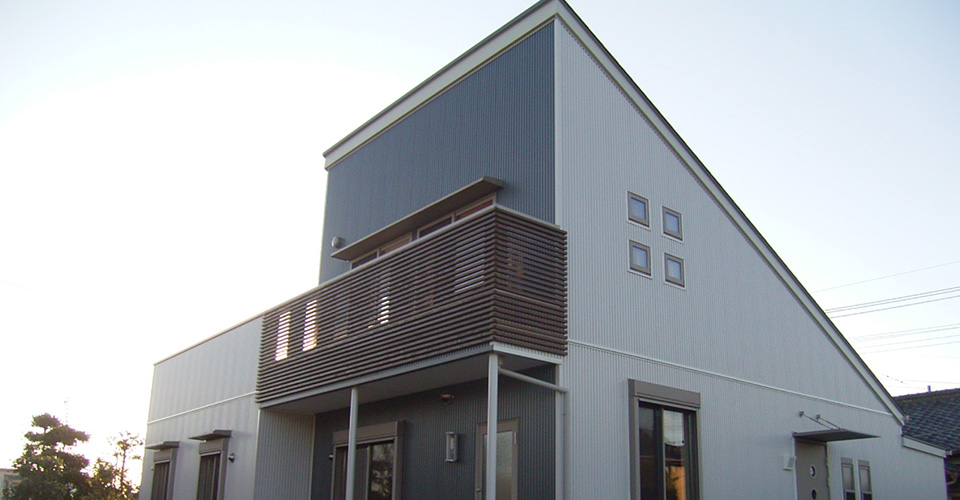 藪塚の片流れ屋根の家